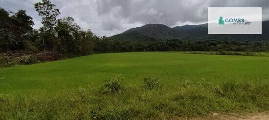 Tagaçaba de Baixo - Guaraqueçaba - PR, Guaraqueçaba - PR