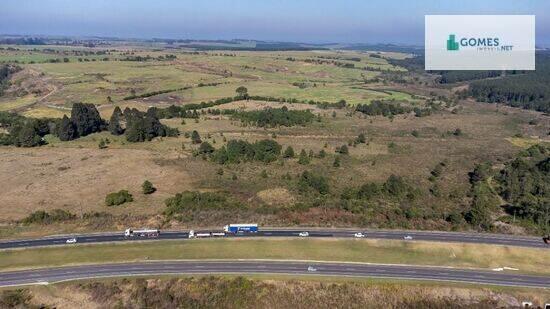 Balsa Nova - São Luiz do Purunã - PR, São Luiz do Purunã - PR