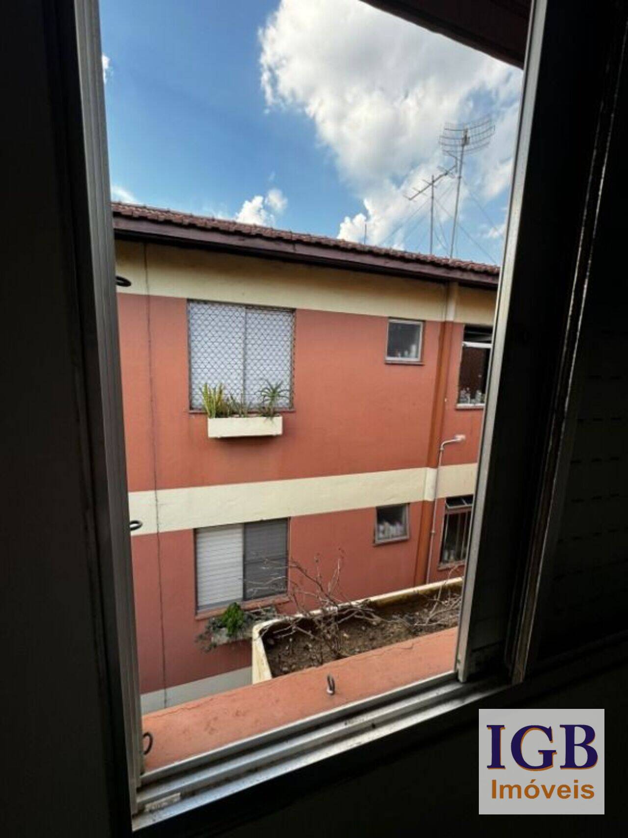 Apartamento Vila Nova Cachoeirinha, São Paulo - SP