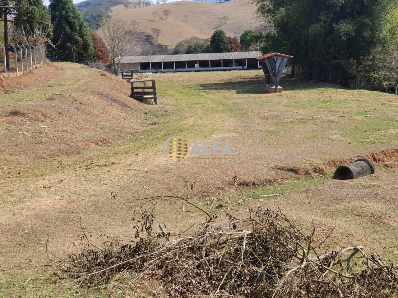 Fazenda Pedreira, Santa Rita do Sapucaí - MG