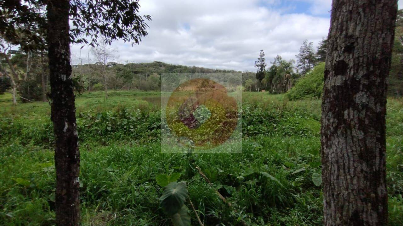 Terreno Vila Conceição, Campo Largo - PR