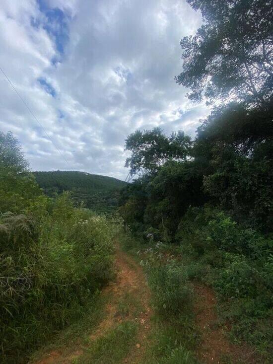 Área Rural de Campo Largo - Campo Largo - PR, Campo Largo - PR