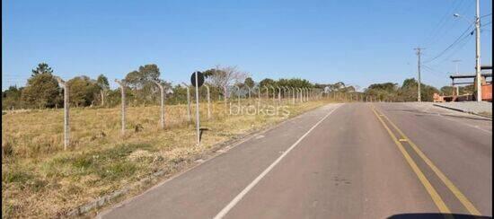 Campo Fundo - Campina Grande do Sul - PR, Campina Grande do Sul - PR