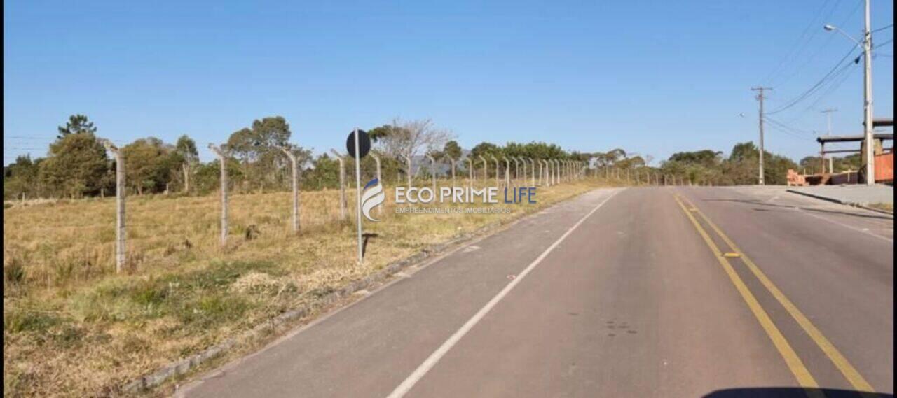 Terreno Campo Fundo, Campina Grande do Sul - PR