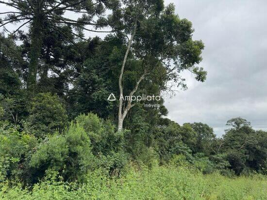 Zona Rural - Quitandinha - PR, Quitandinha - PR