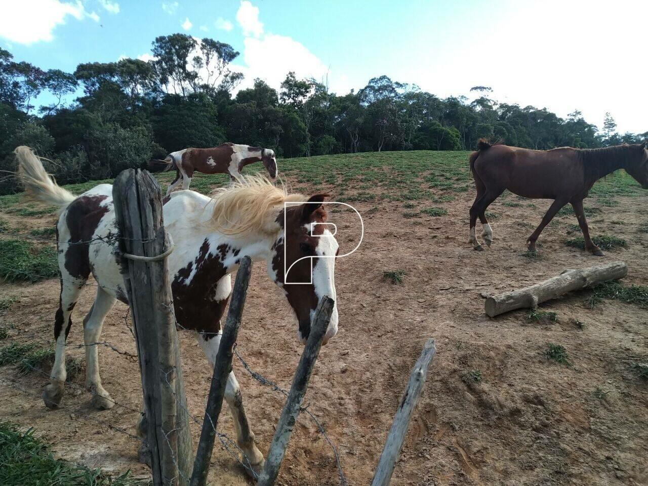 Sítio Ibiúna, Ibiúna - SP