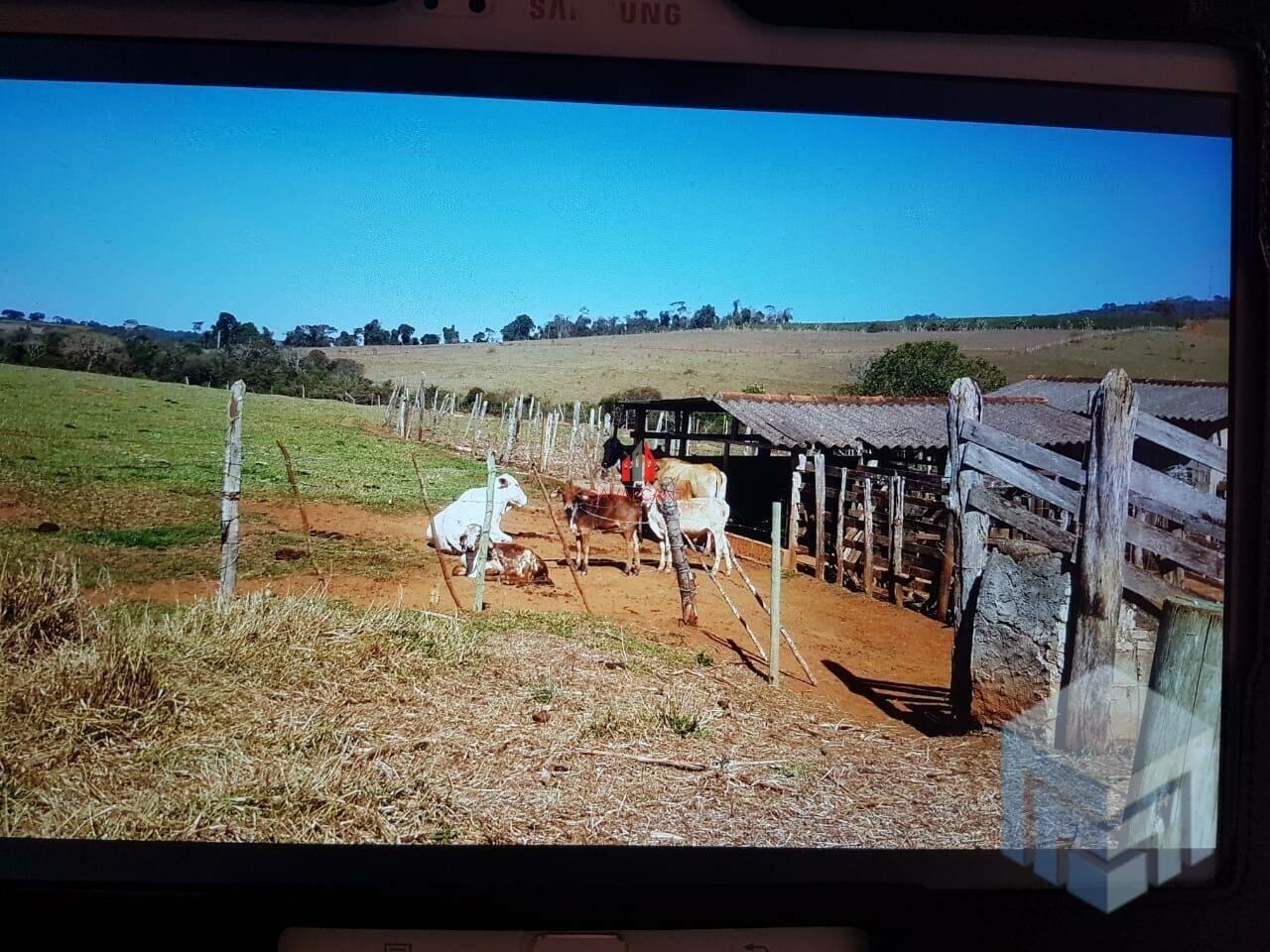 Sítio Bairro Rural, Varginha - MG