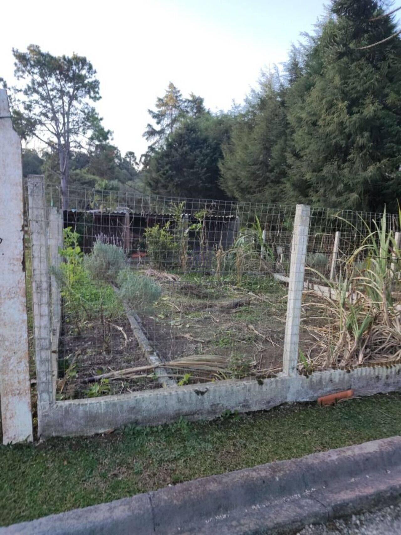 Haras Borda do Campo, Piraquara - PR