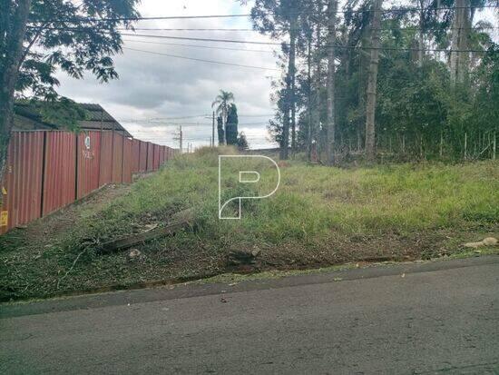 Terreno Chácara Represinha, Cotia - SP