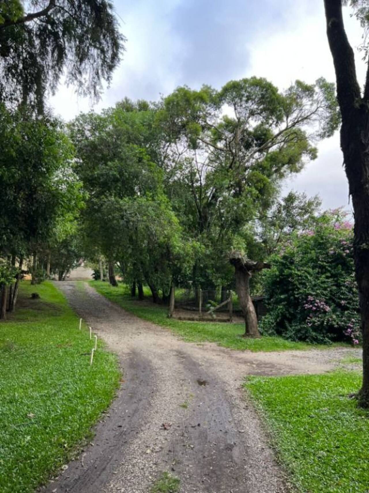 Terreno São Braz, Curitiba - PR