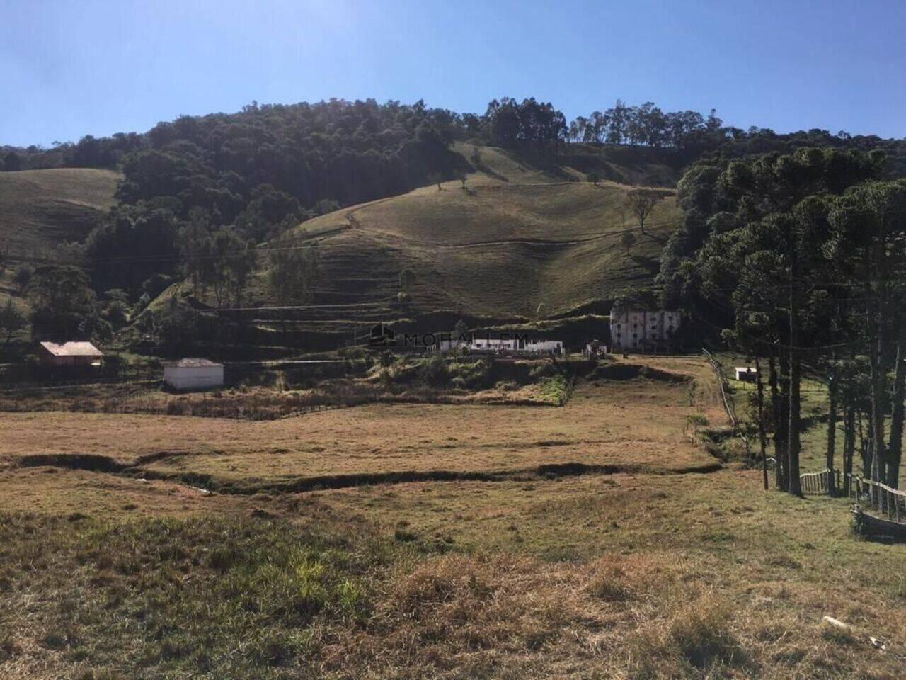 Sítio Zona Rural, Delfim Moreira - MG