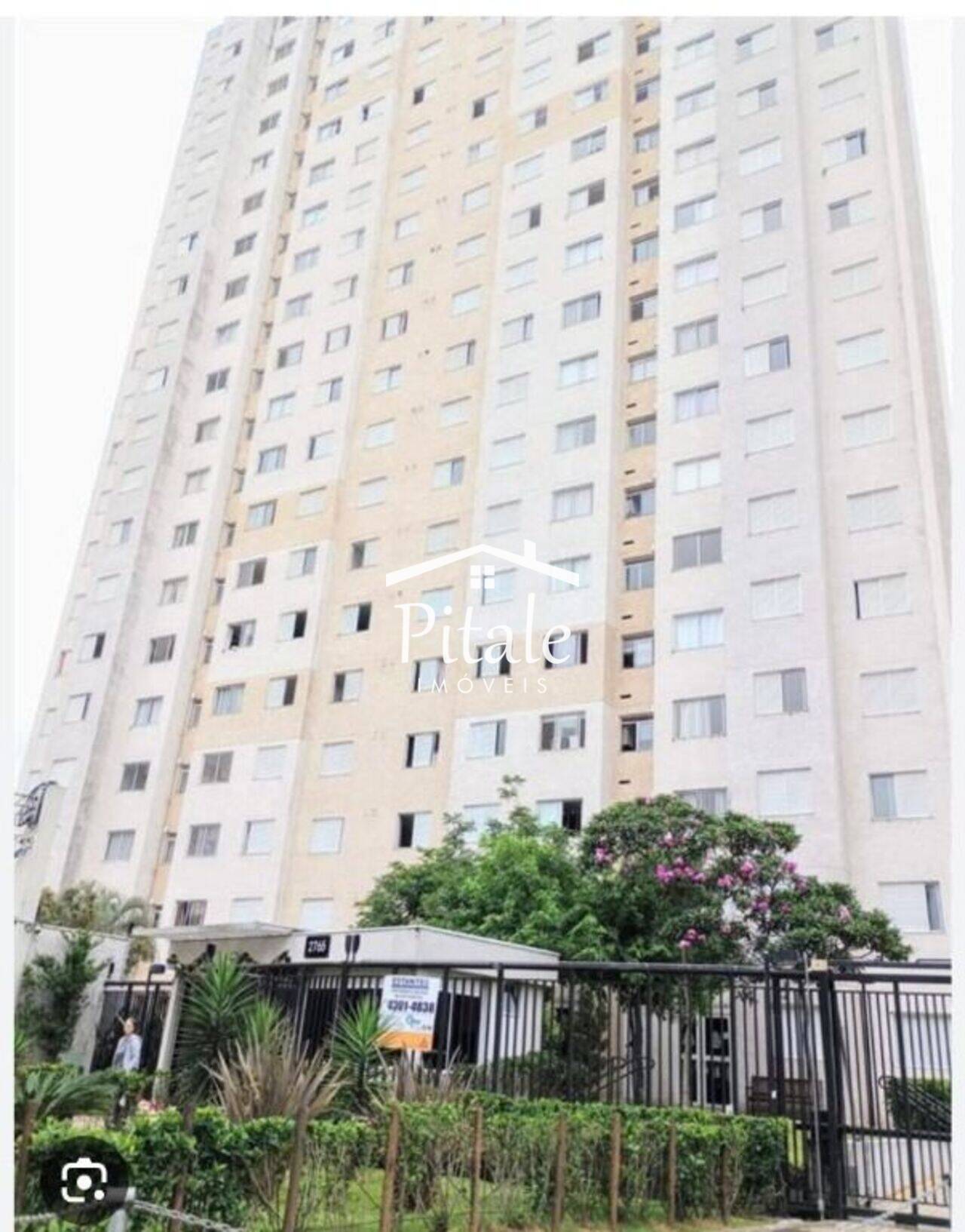 Apartamento Jardim Íris, São Paulo - SP