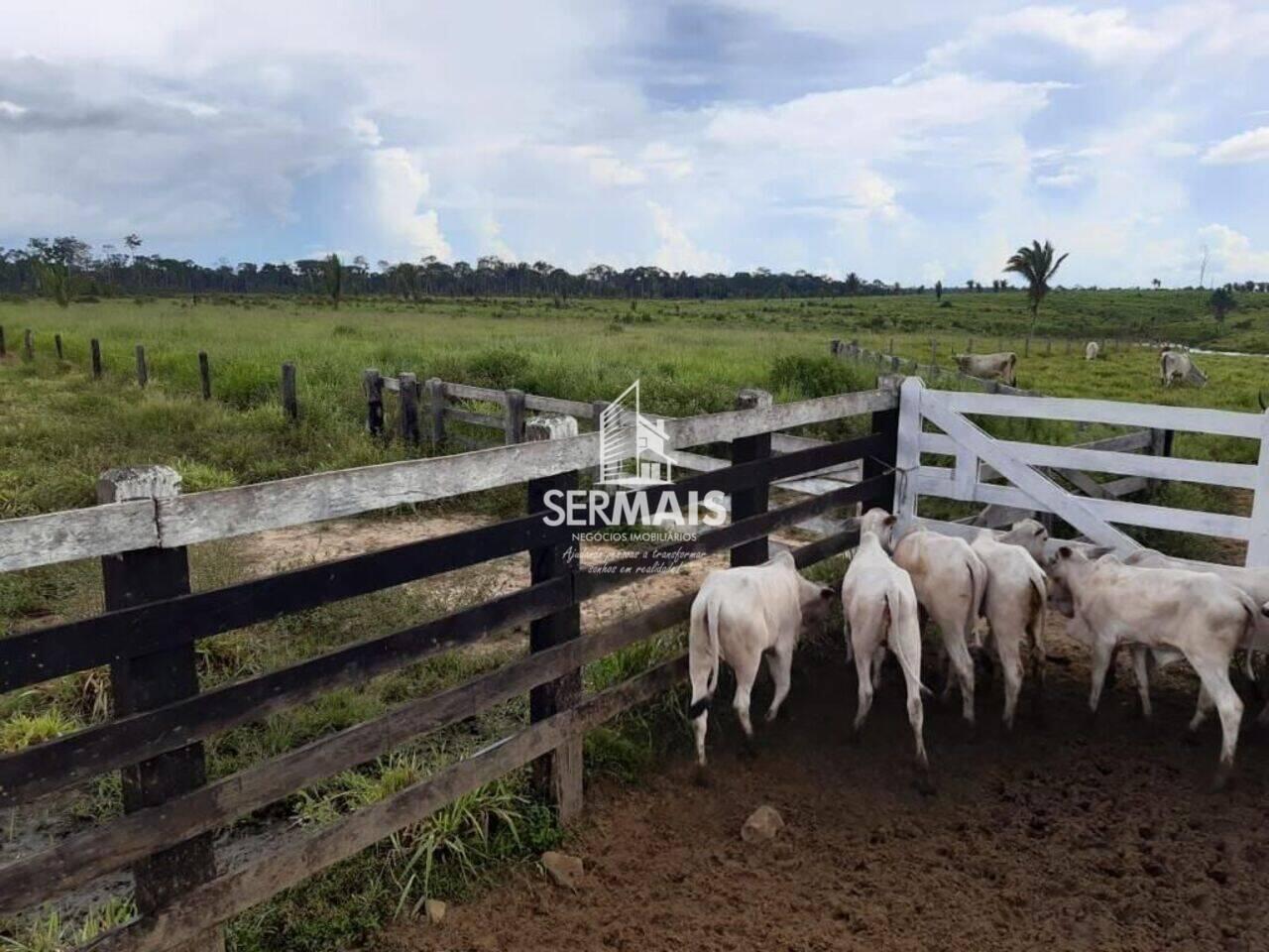 Fazenda Zona Rural, Machadinho D'Oeste - RO