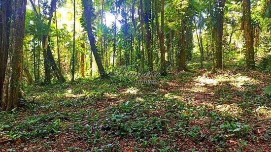 Terreno Rio Sagrado, Morretes - PR