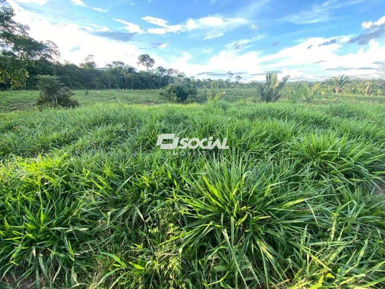 Fazenda Área Rural de Porto Velho, Porto Velho - RO