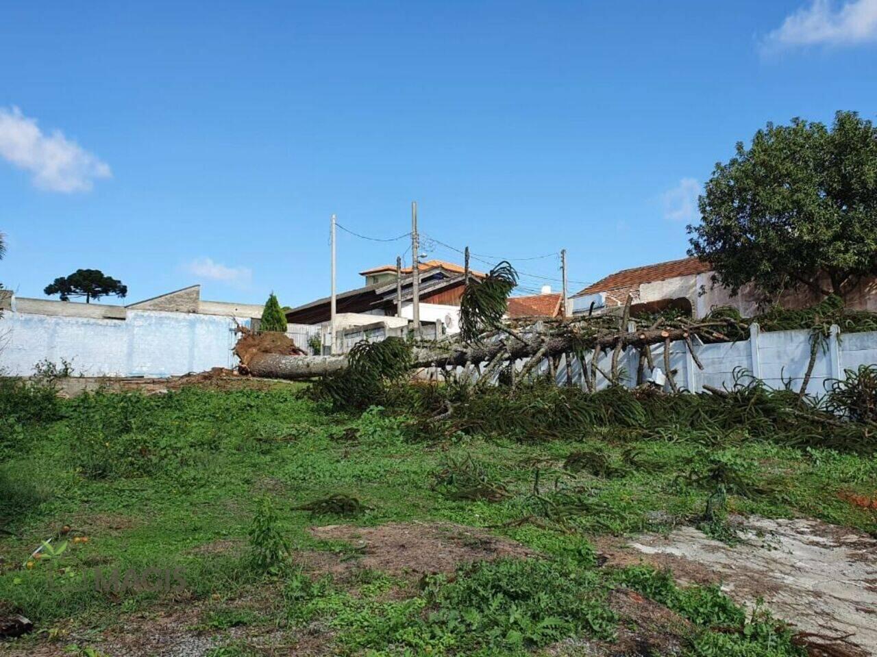 Terreno Centro Cívico, Curitiba - PR