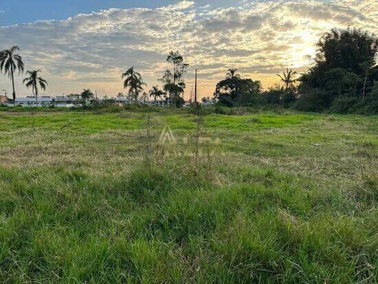 São Paulo - Navegantes - SC, Navegantes - SC