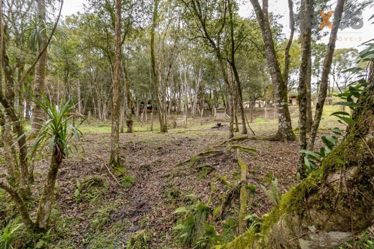 Chácara Mandassaia, Campina Grande do Sul - PR