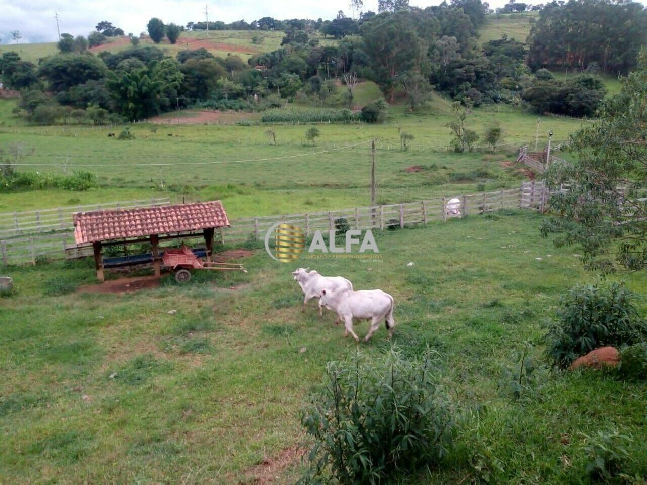 Fazenda Zona Rural, Cambuí - MG