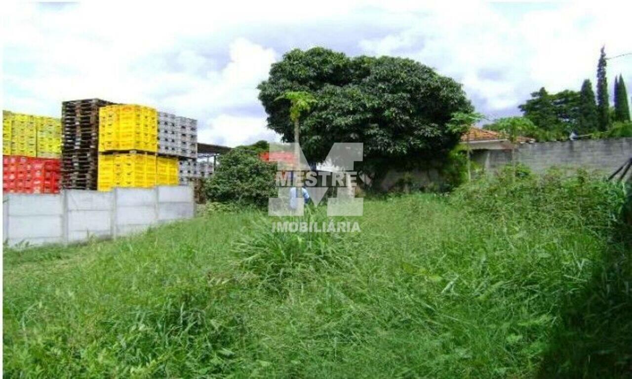 Terreno Vila Flórida, Guarulhos - SP