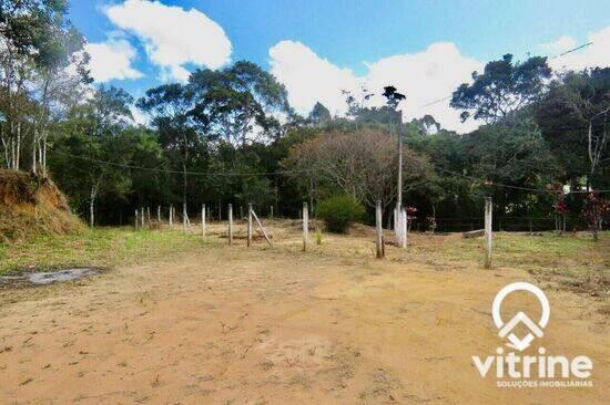 Campo do Coelho - Nova Friburgo - RJ, Nova Friburgo - RJ