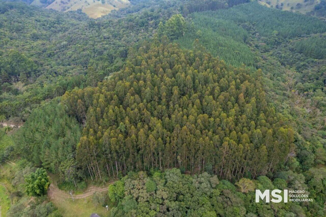 Fazenda São Silvestre, Campo Largo - PR