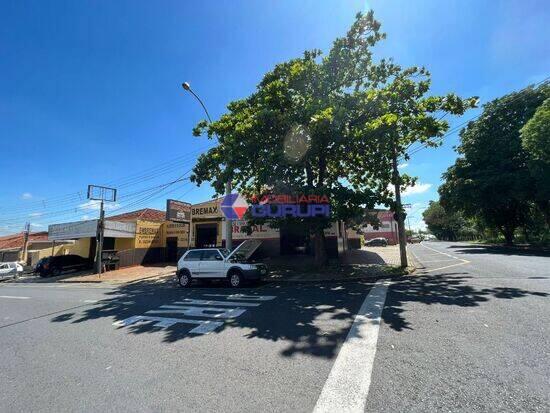 Barracão Jardim Europa, São José do Rio Preto - SP