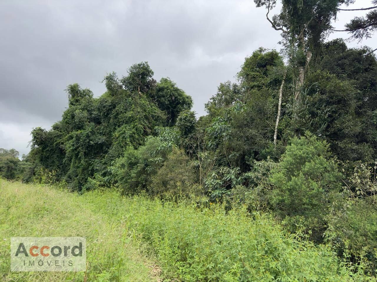 Chácara Zona Rural, Quitandinha - PR