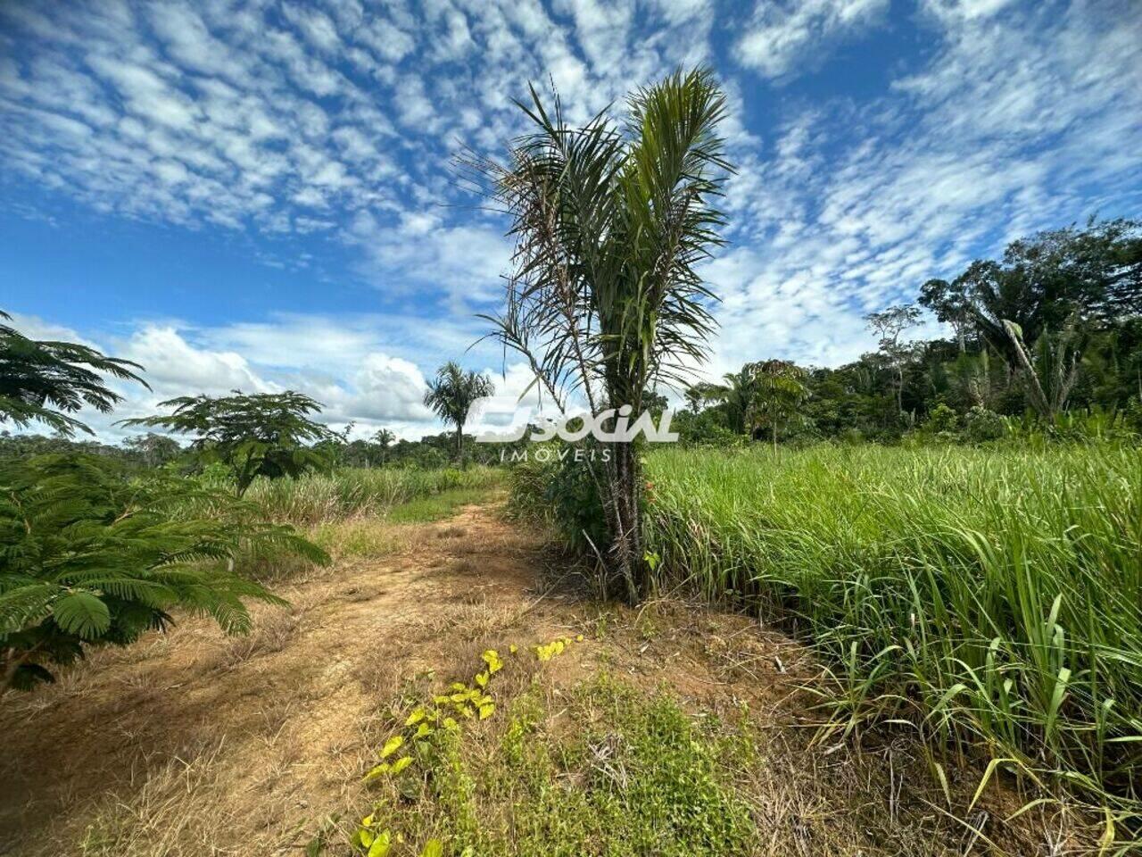 Fazenda Balsa, Porto Velho - RO