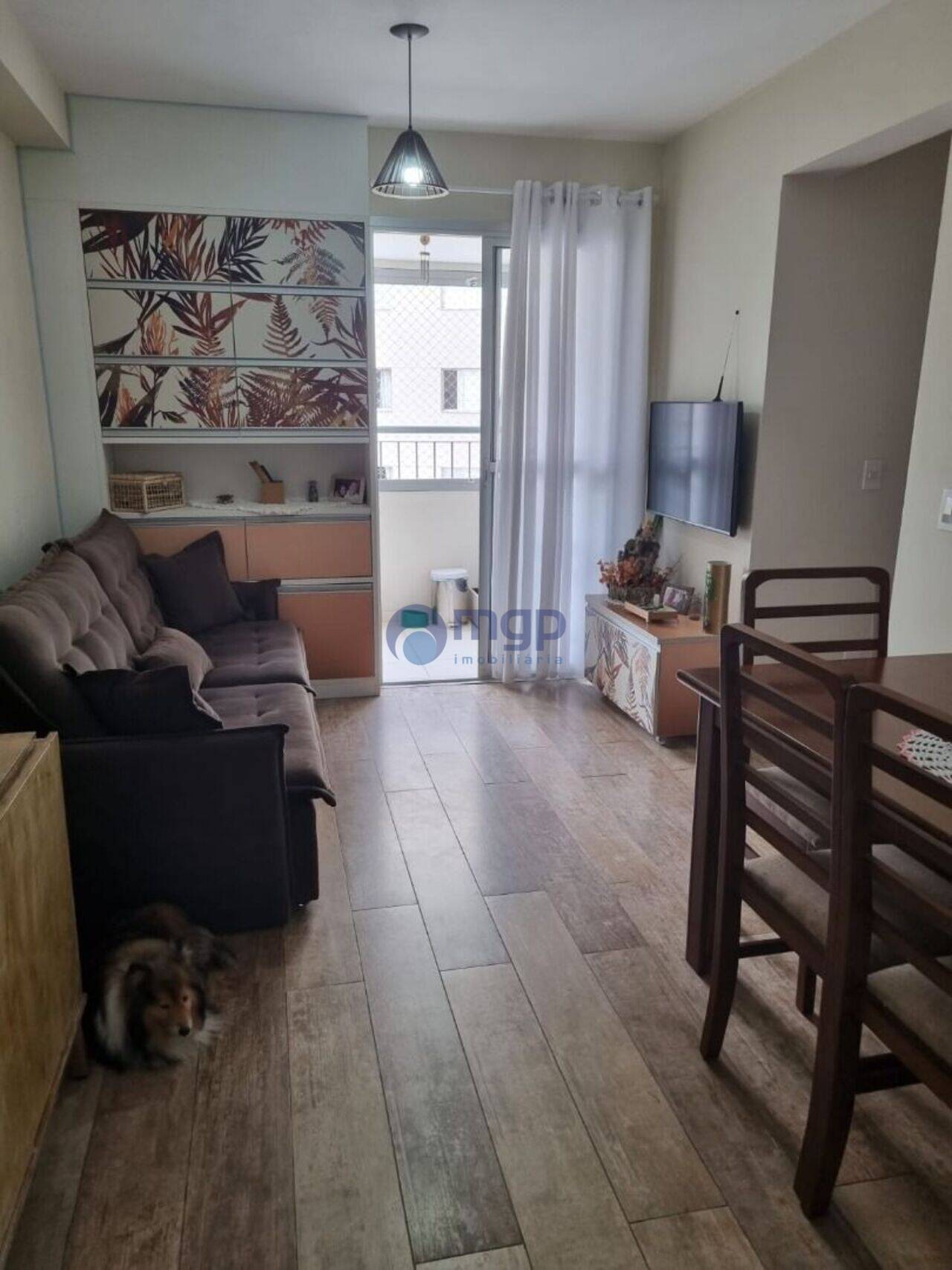 Apartamento Vila Germinal, São Paulo - SP