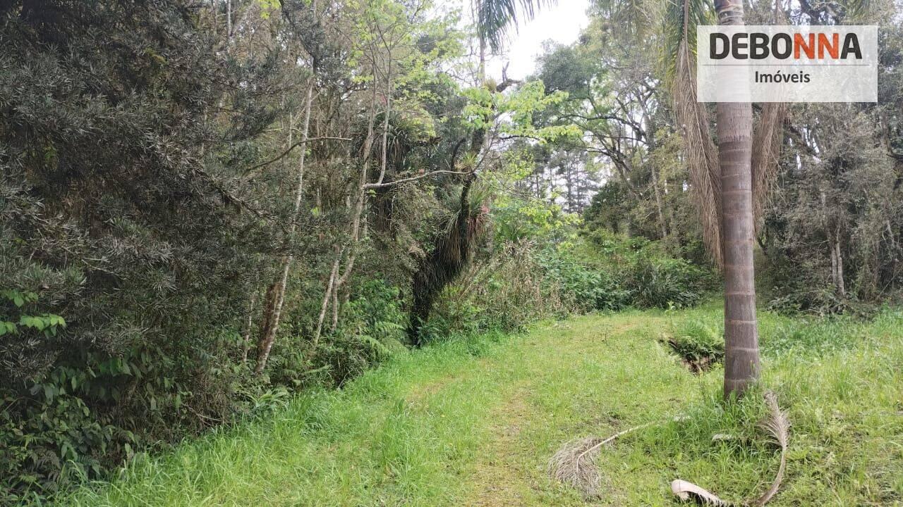 Terreno Vila Conceição, Campo Largo - PR