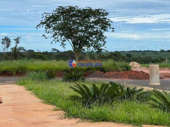  Levert, São José do Rio Preto - SP