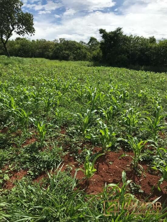 Sítio Zona Rural, Alto Paraíso de Goiás - GO