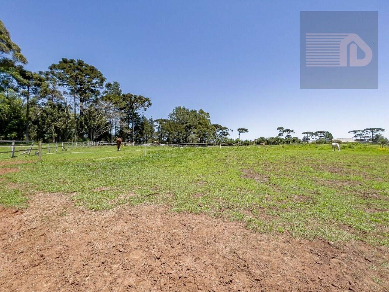 Haras Colônia Murici, São José dos Pinhais - PR