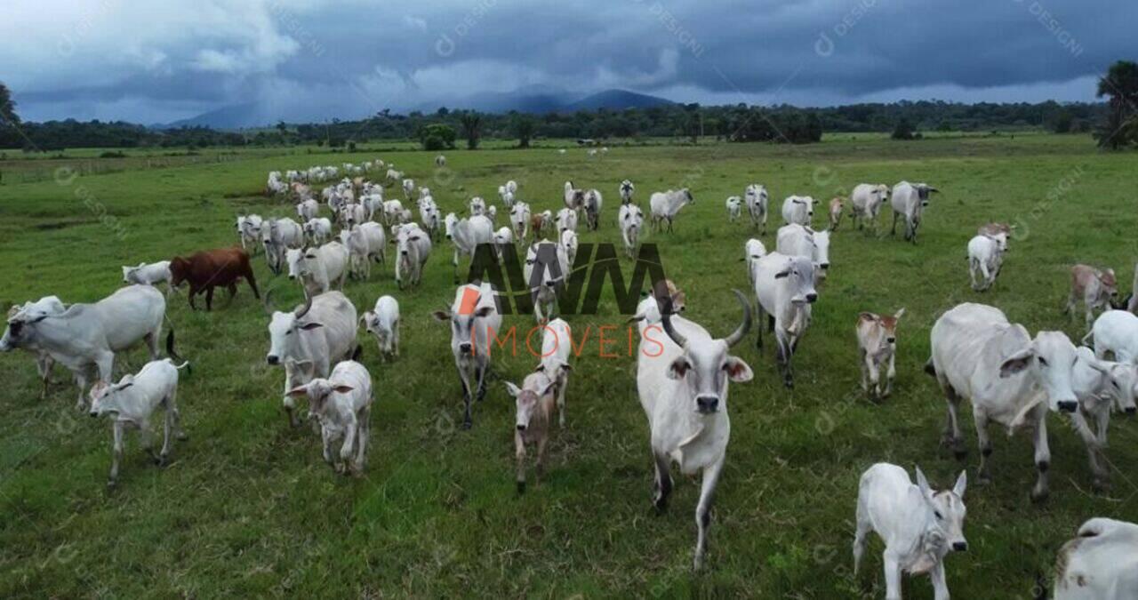 Fazenda Zona Rural, Nova Olinda do Maranhão - MA