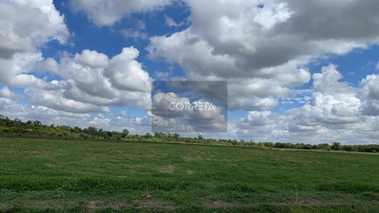 Fazenda Taquaral, Rincão - SP