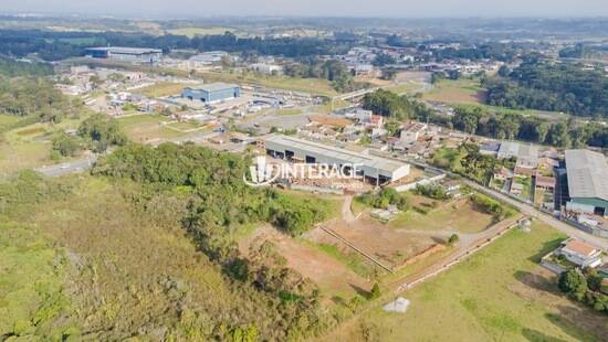 Zaniolo - São José dos Pinhais - PR, São José dos Pinhais - PR