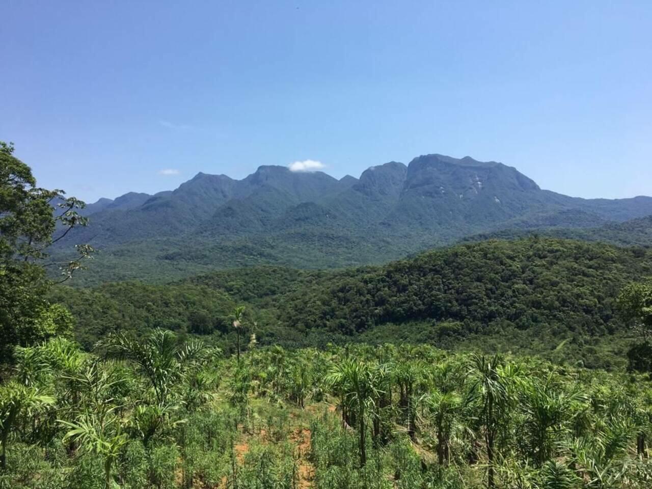 Fazenda Área Rural, Morretes - PR