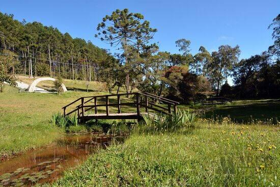 Alto do Capivari – Condomínio Reserva Figueiredo - Campos do Jordão - SP, Campos do Jordão - SP