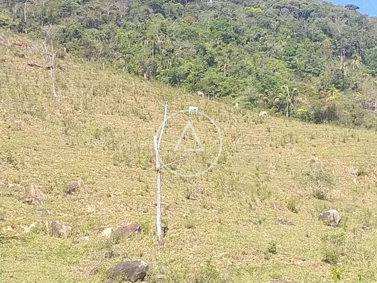 Sítio Bicuda Pequena, Macaé - RJ