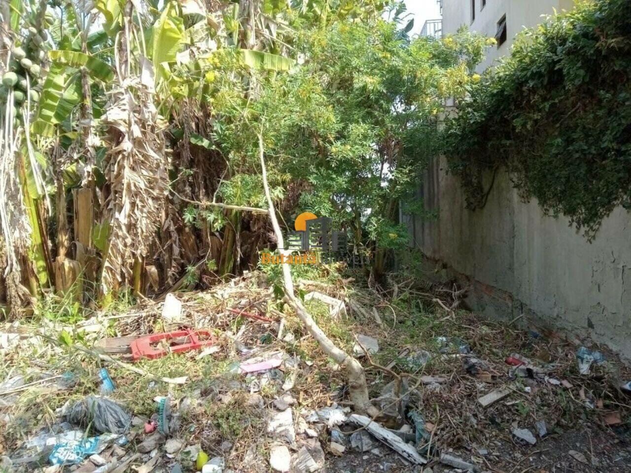 Terreno Jardim das Vertentes, São Paulo - SP