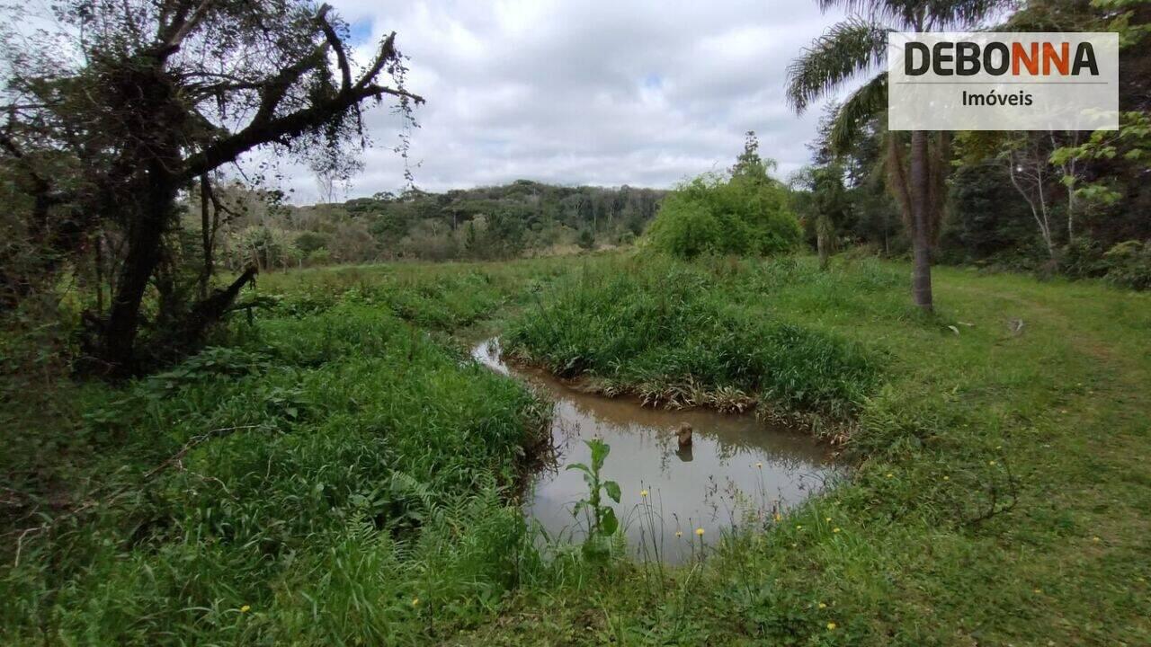 Terreno Vila Conceição, Campo Largo - PR