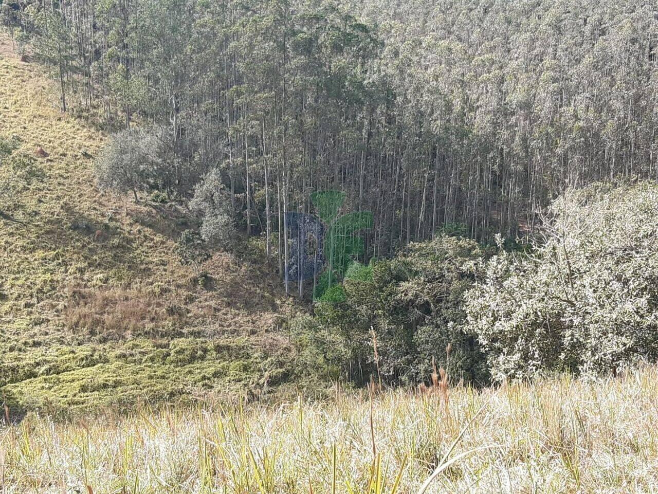 Sítio Bandeira Branca, Jacareí - SP