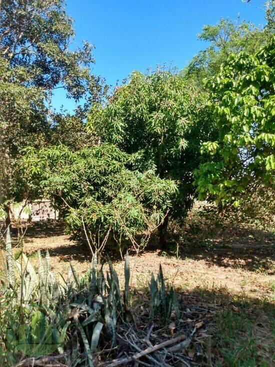 Terreno Jardim Das Paineiras, Águas da Prata - SP