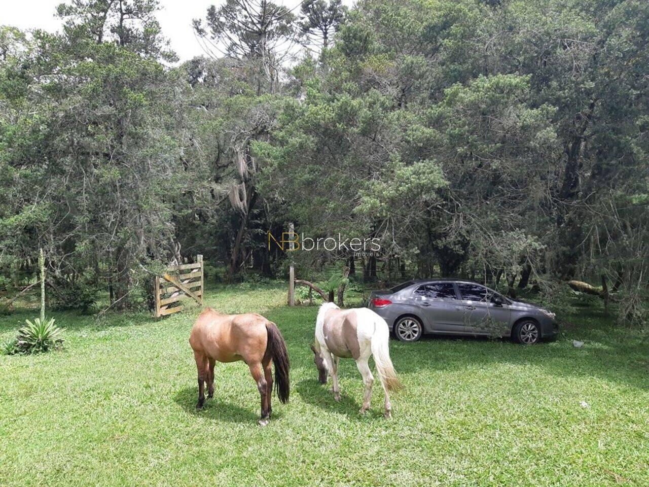 Chácara Estação, Araucária - PR