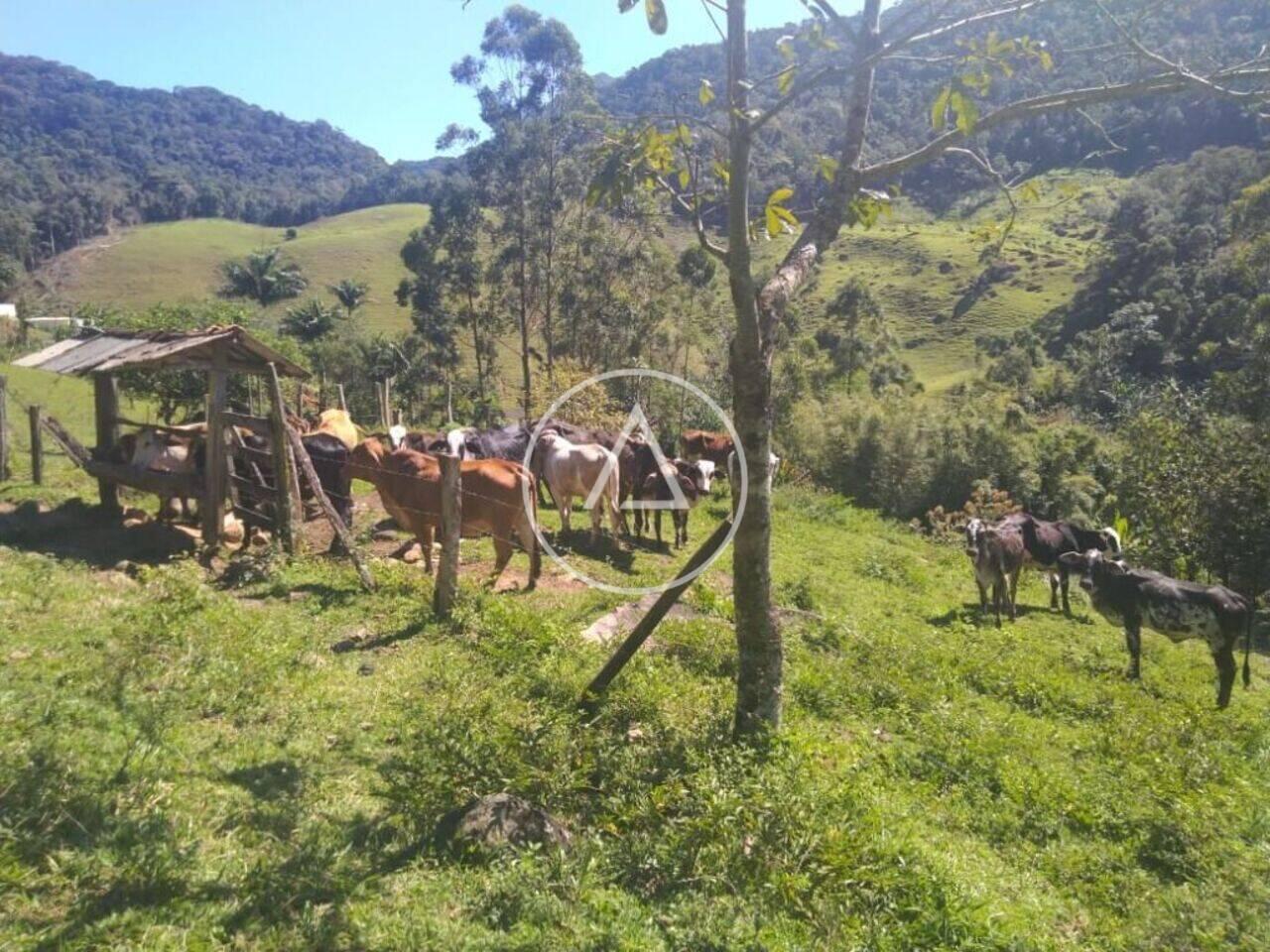 Sítio Bicuda Pequena, Macaé - RJ