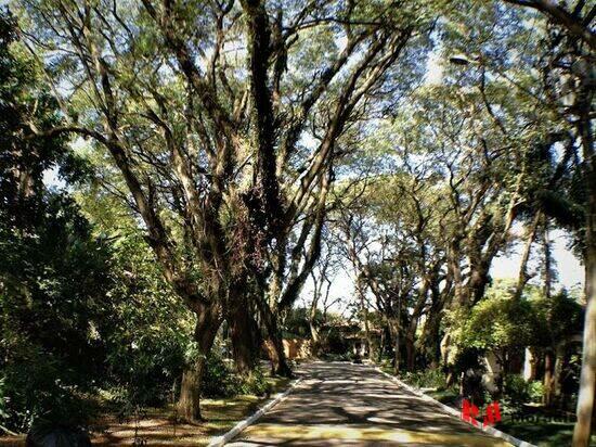 Bosque do Vianna - Cotia - SP, Cotia - SP