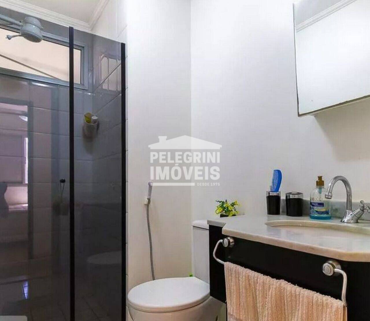 Apartamento Mansões Santo Antônio, Campinas - SP