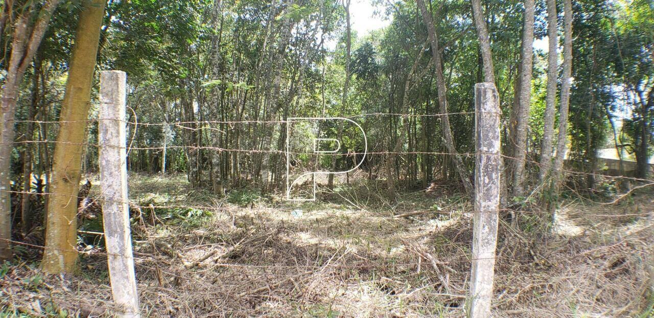 Terreno Chácara Rincão, Cotia - SP