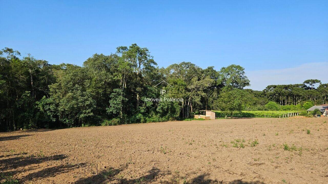 Chácara Guajuvira, Araucária - PR